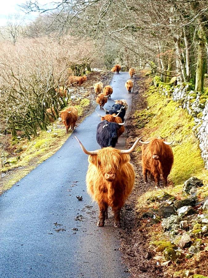 Kirk Cottage Tobermory Dış mekan fotoğraf